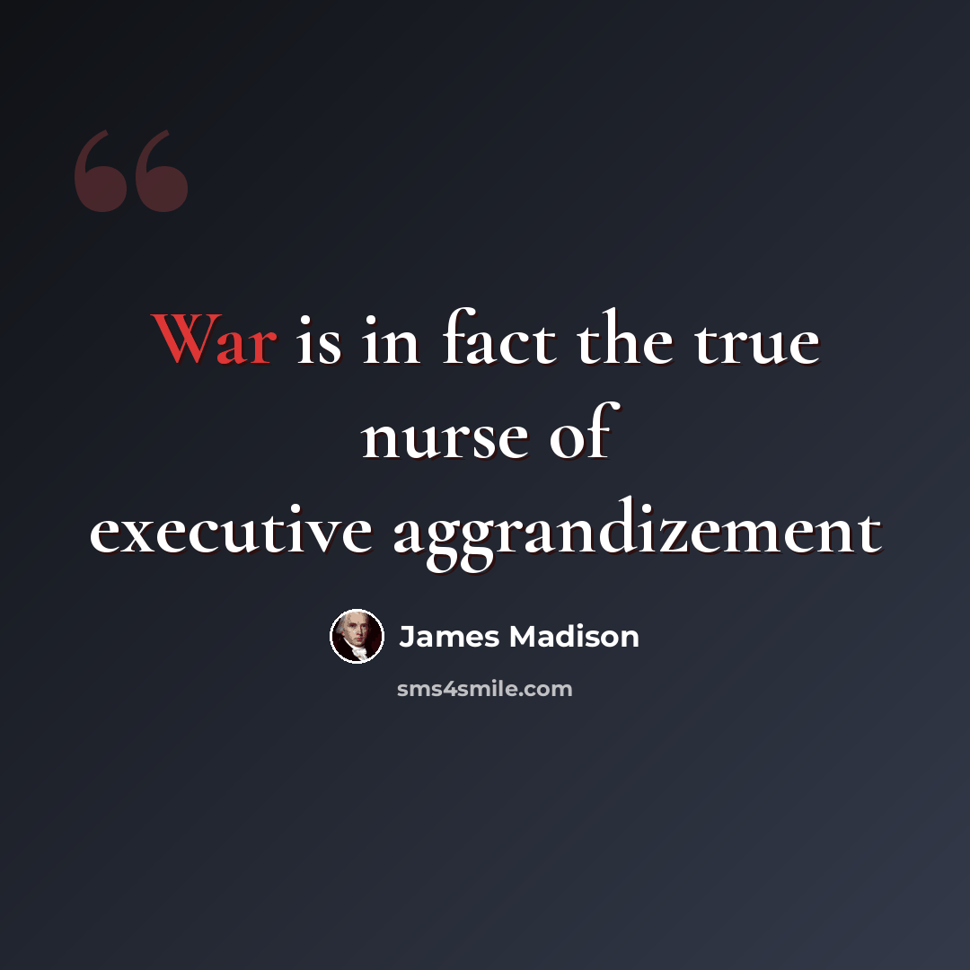 “War is in fact the true nurse of executive aggrandizement” quote by James Madison