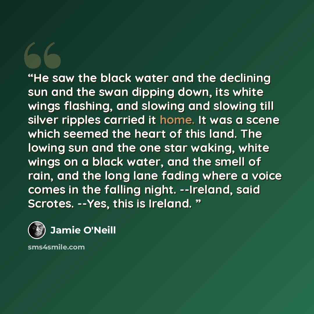 “He saw the black water and the declining sun and the swan dipping down, its white wings flashing, and slowing and slowing till silver ripples carried it home. It was a scene which seemed the heart of this land. The lowing sun and the one star waking, white wings on a black water, and the smell of…” quote by Jamie O'Neill