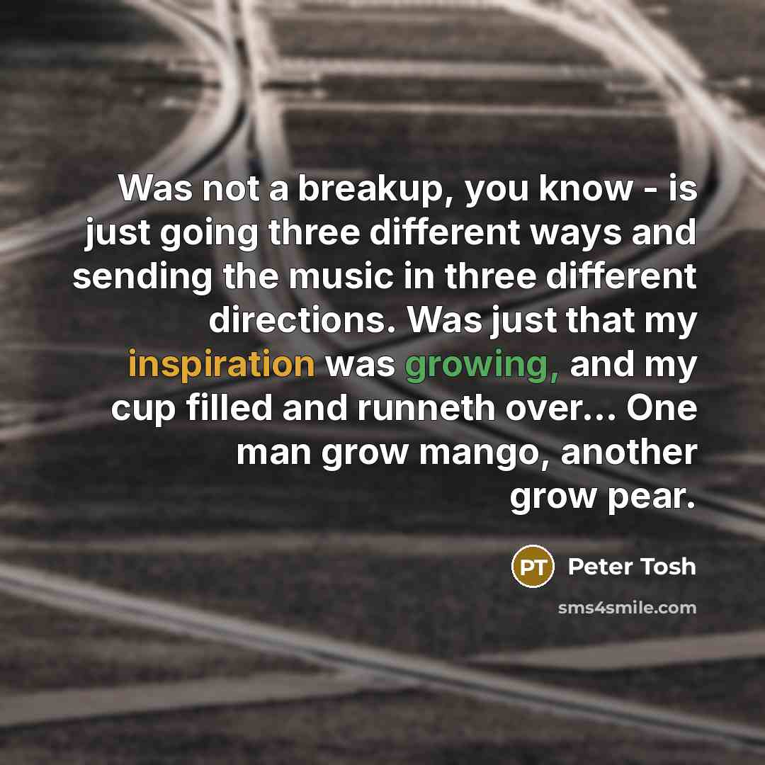 “Was not a breakup, you know - is just going three different ways and sending the music in three different directions. Was just that my inspiration was growing, and my cup filled and runneth over... One man grow mango, another grow pear.” quote by Peter Tosh