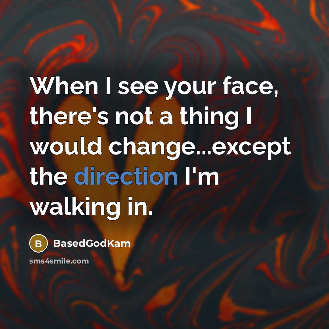 “When I see your face, there's not a thing I would change...except the direction I'm walking in.” quote by BasedGodKam