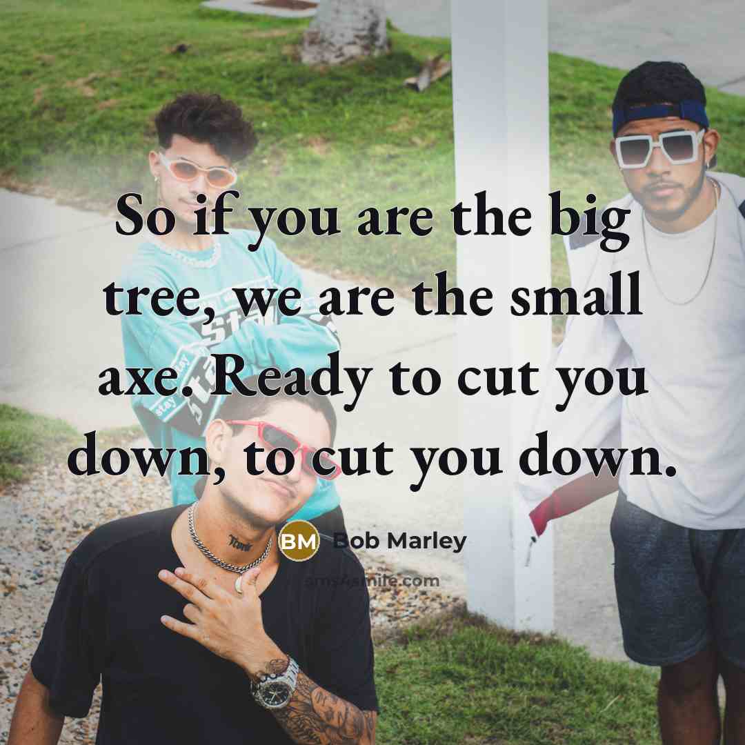 “So if you are the big tree, we are the small axe. Ready to cut you down, to cut you down.” quote by Bob Marley