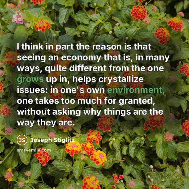 “I think in part the reason is that seeing an economy that is, in many ways, quite different from the one grows up in, helps crystallize issues: in one's own environment, one takes too much for granted, without asking why things are the way they are.” quote by Joseph Stiglitz
