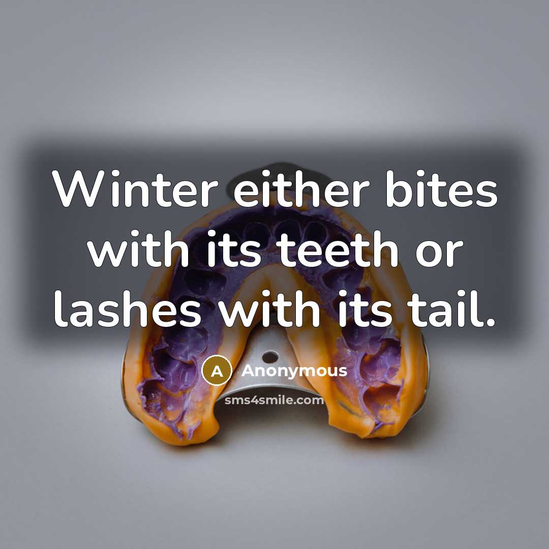 “Winter either bites with its teeth or lashes with its tail.” quote by Anonymous