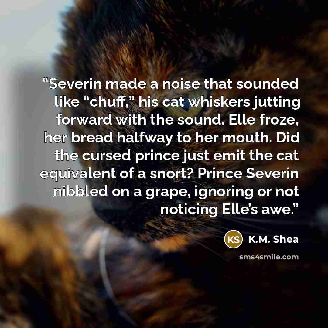 “Severin made a noise that sounded like “chuff,” his cat whiskers jutting forward with the sound. Elle froze, her bread halfway to her mouth. Did the cursed prince just emit the cat equivalent of a snort? Prince Severin nibbled on a grape, ignoring or not noticing Elle’s awe.” quote by K.M. Shea