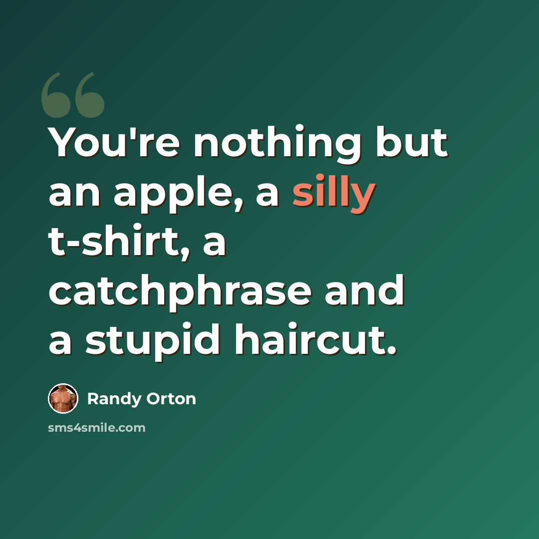 “You're nothing but an apple, a silly t-shirt, a catchphrase and a stupid haircut.” quote by Randy Orton