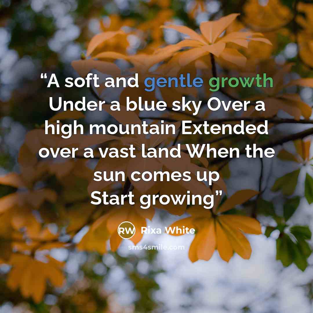 “A soft and gentle growth Under a blue sky Over a high mountain Extended over a vast land When the sun comes up Start growing” quote by Rixa White