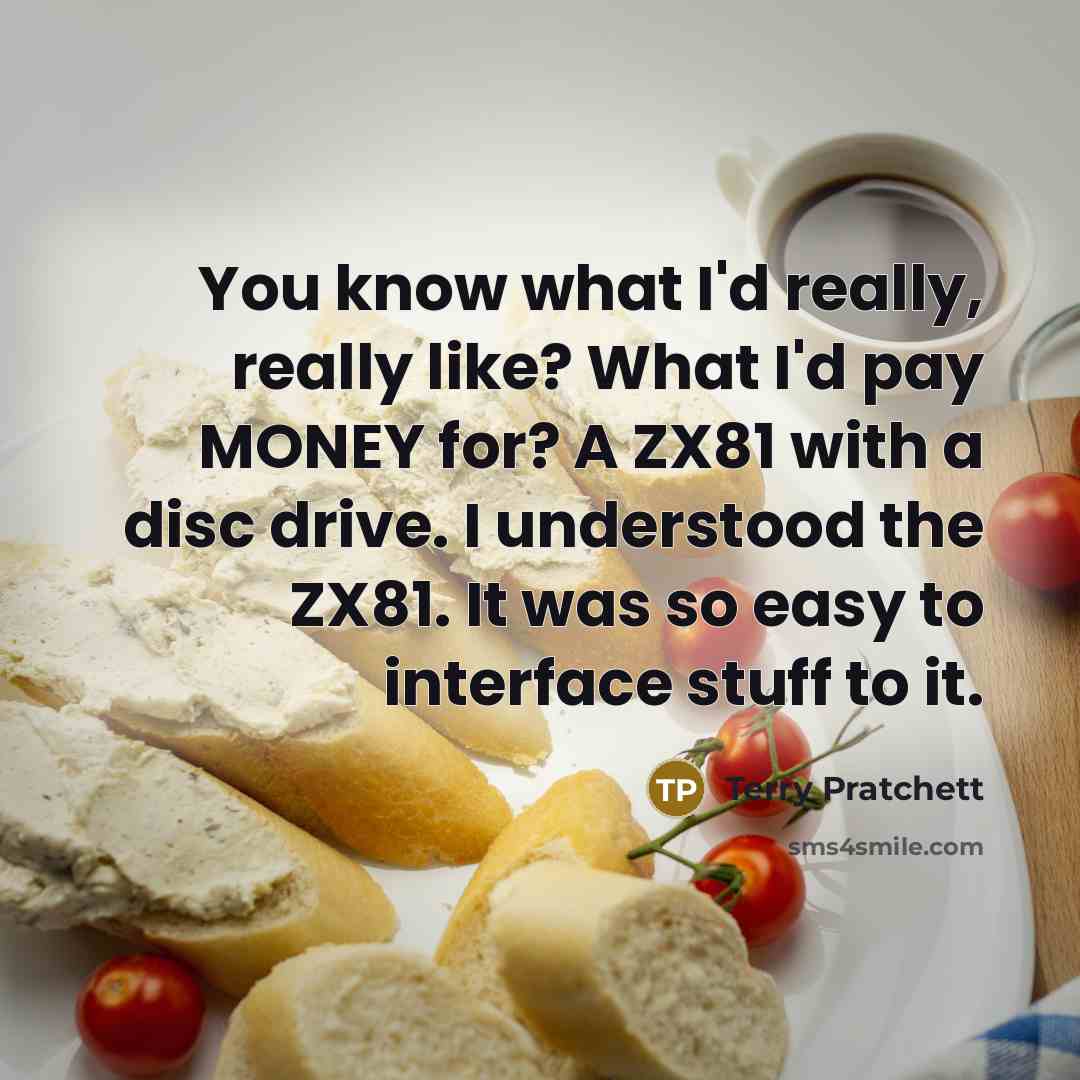 “You know what I'd really, really like? What I'd pay MONEY for? A ZX81 with a disc drive. I understood the ZX81. It was so easy to interface stuff to it.” quote by Terry Pratchett