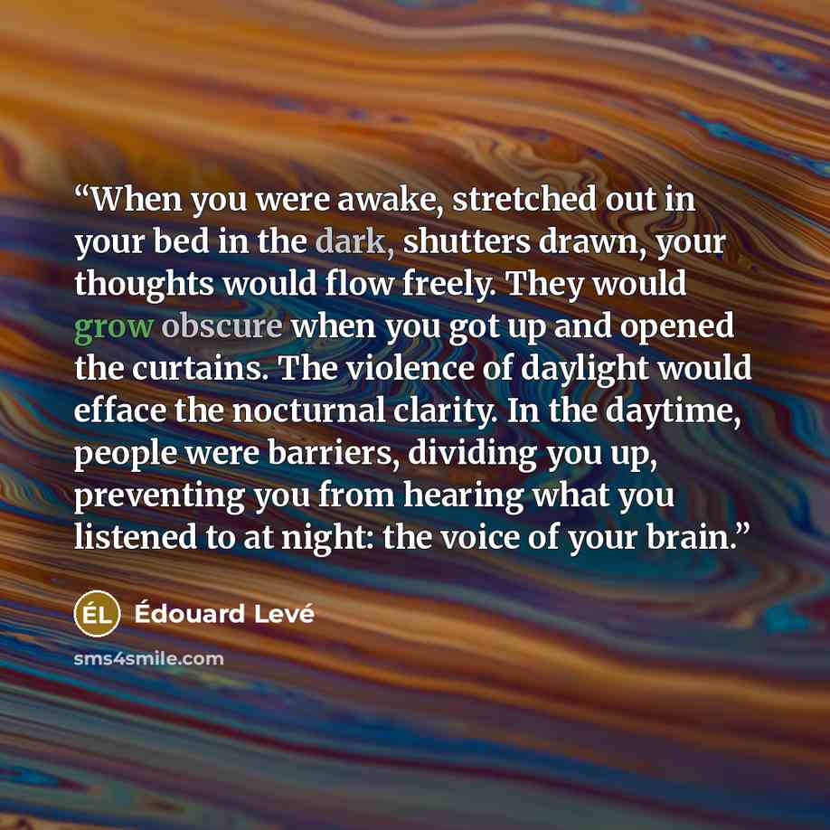 “When you were awake, stretched out in your bed in the dark, shutters drawn, your thoughts would flow freely. They would grow obscure when you got up and opened the curtains. The violence of daylight would efface the nocturnal clarity. In the daytime, people were barriers, dividing you up…” quote by Edouard Levé