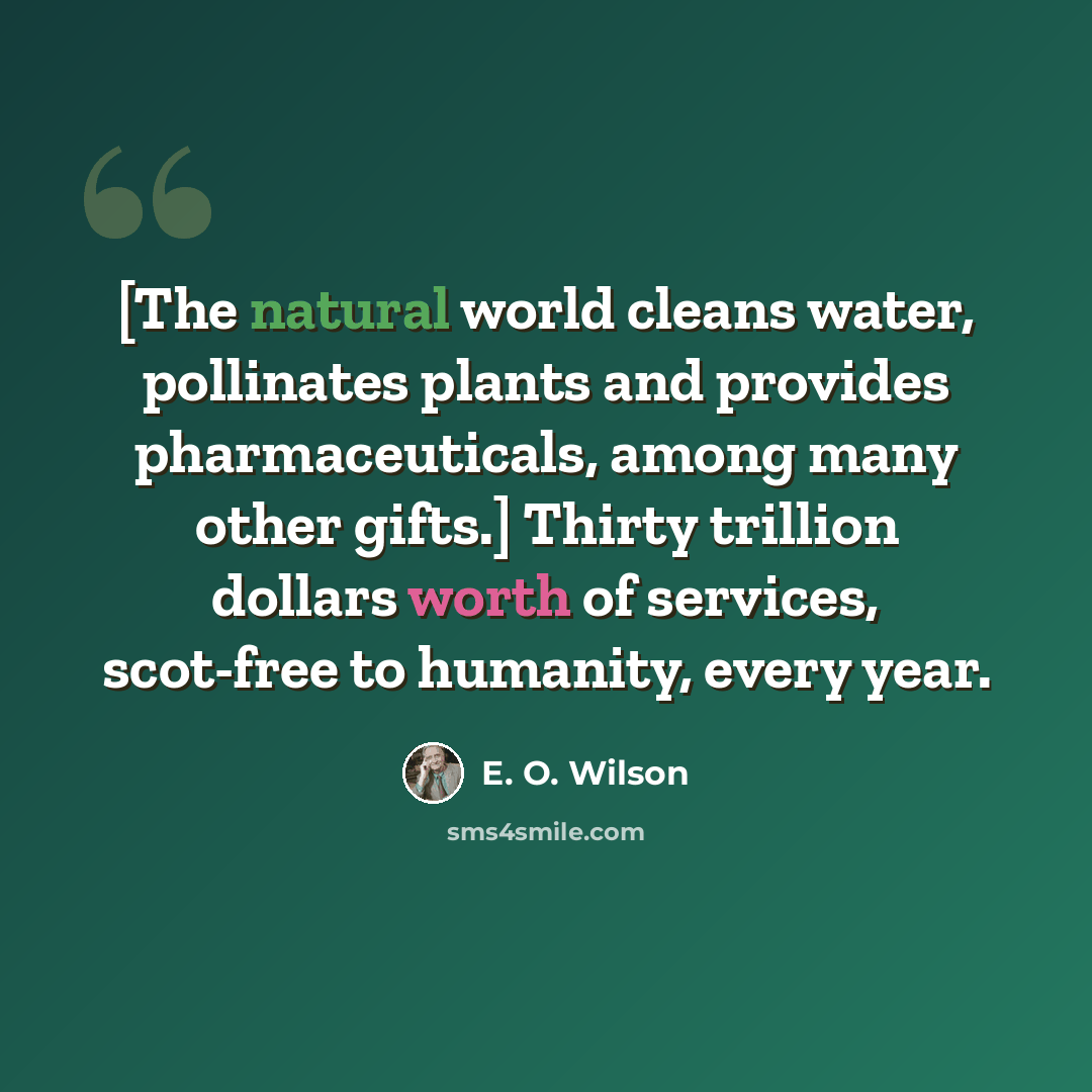 “[The natural world cleans water, pollinates plants and provides pharmaceuticals, among many other gifts.] Thirty trillion dollars worth of services, scot-free to humanity, every year.” quote by E. O. Wilson