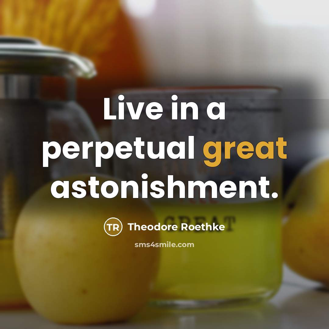 “Live in a perpetual great astonishment.” quote by Theodore Roethke