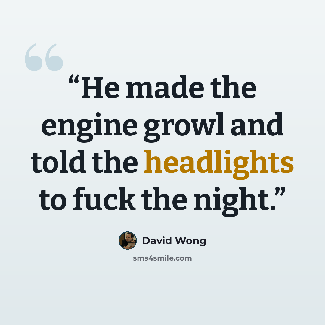 “He made the engine growl and told the headlights to fuck the night.” quote by David Wong