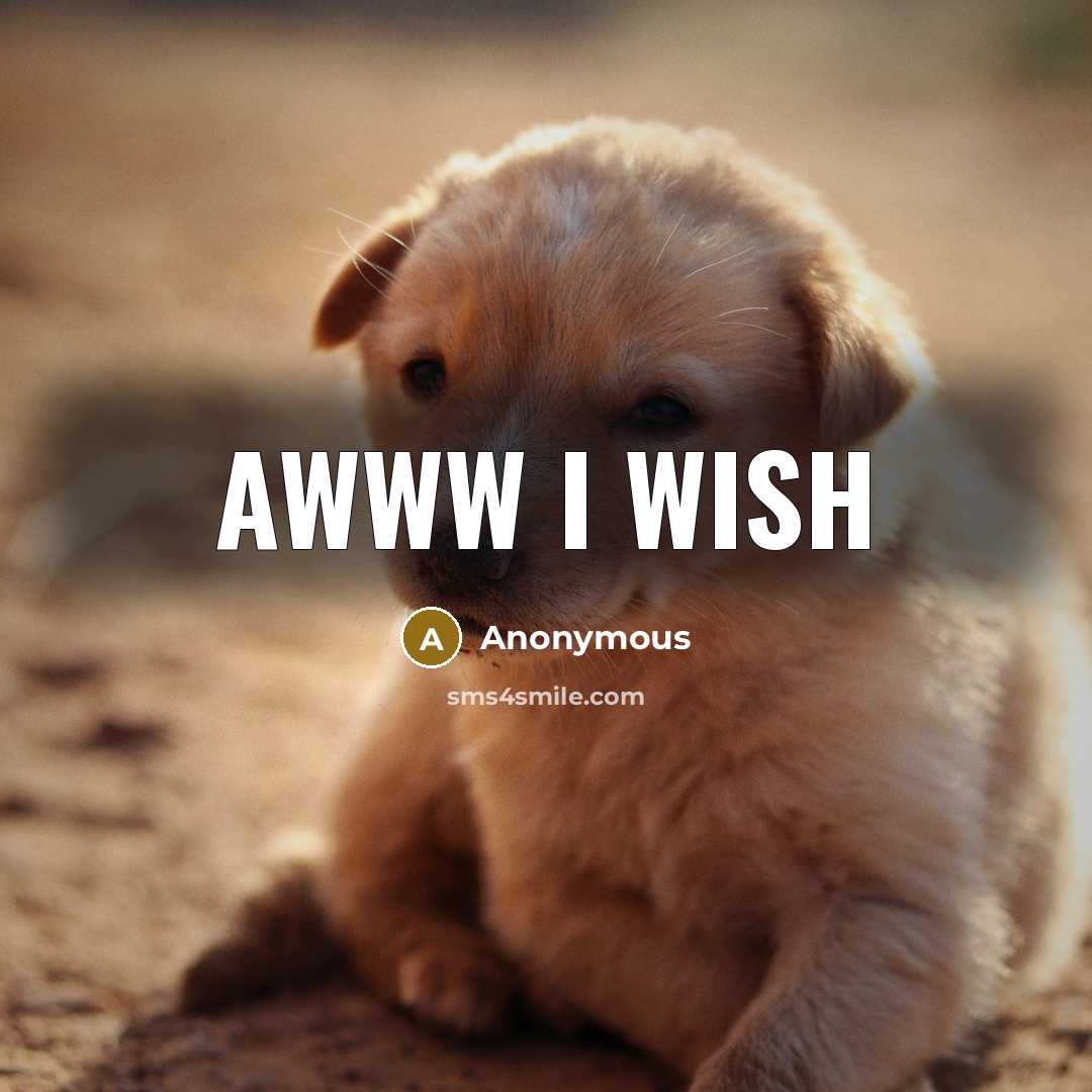 “Awww I wish” quote by Anonymous