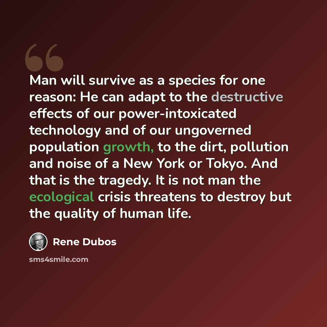“Man will survive as a species for one reason: He can adapt to the destructive effects of our power-intoxicated technology and of our ungoverned population growth, to the dirt, pollution and noise of a New York or Tokyo. And that is the tragedy. It is not man the ecological crisis threatens to…” quote by Rene Dubos