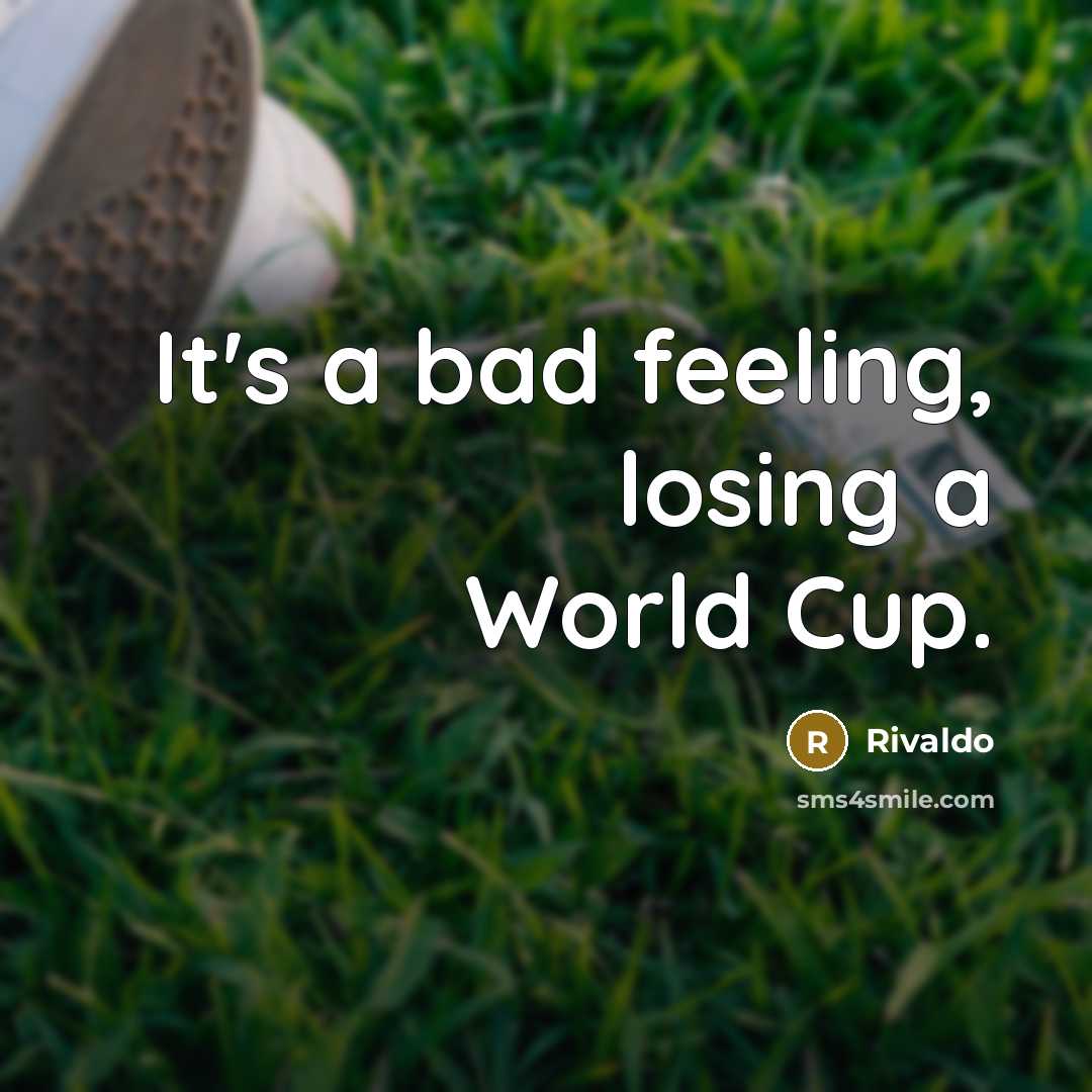 “It's a bad feeling, losing a World Cup.” quote by Rivaldo