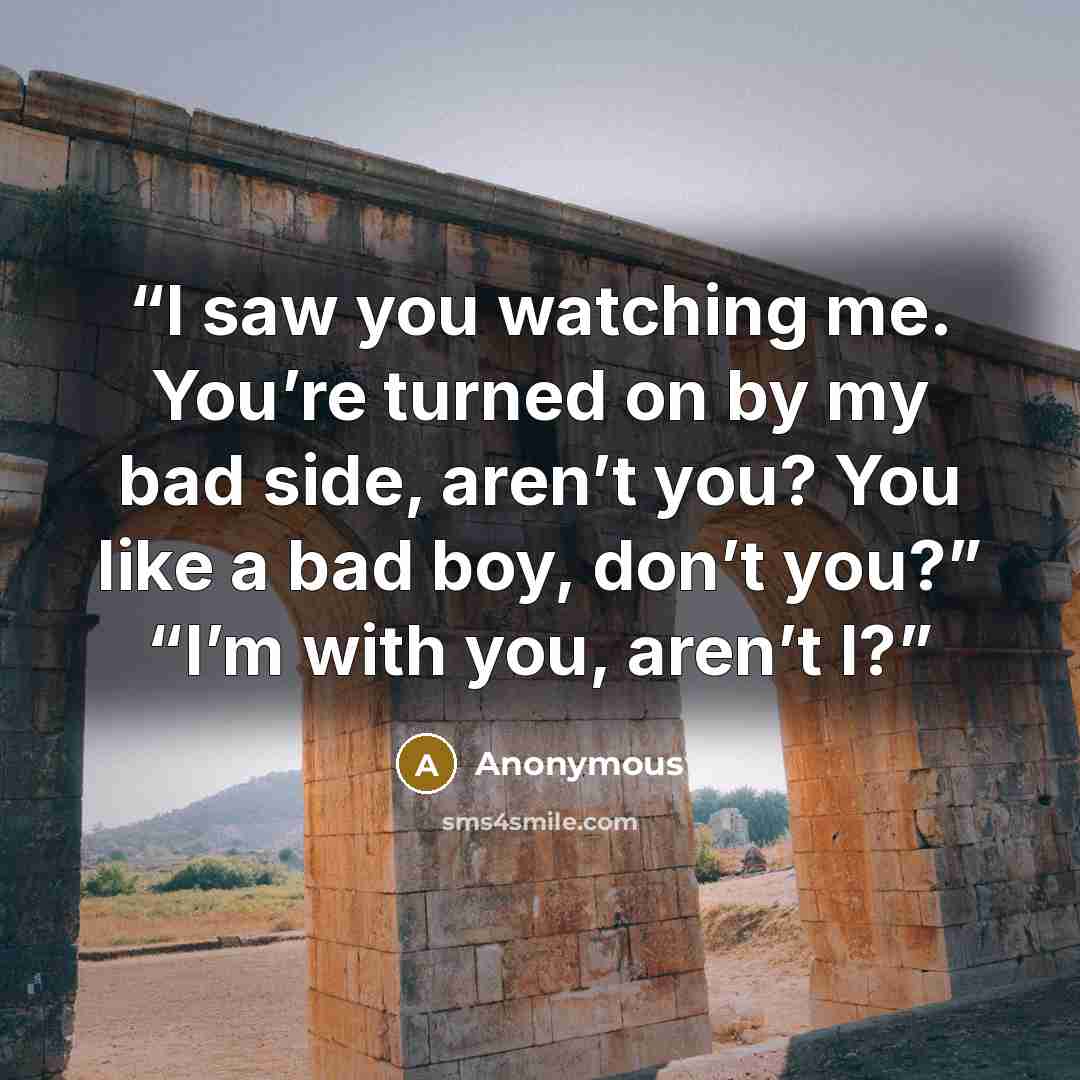“I saw you watching me. You’re turned on by my bad side, aren’t you? You like a bad boy, don’t you?” “I’m with you, aren’t I?” quote by Anonymous