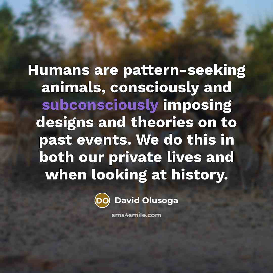 “Humans are pattern-seeking animals, consciously and subconsciously imposing designs and theories on to past events. We do this in both our private lives and when looking at history.” quote by David Olusoga