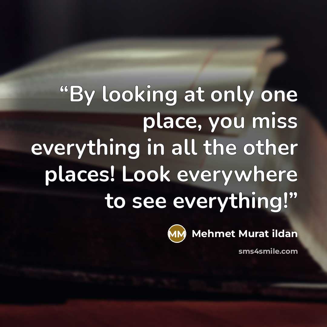 “By looking at only one place, you miss everything in all the other places! Look everywhere to see everything!” quote by Mehmet Murat ildan