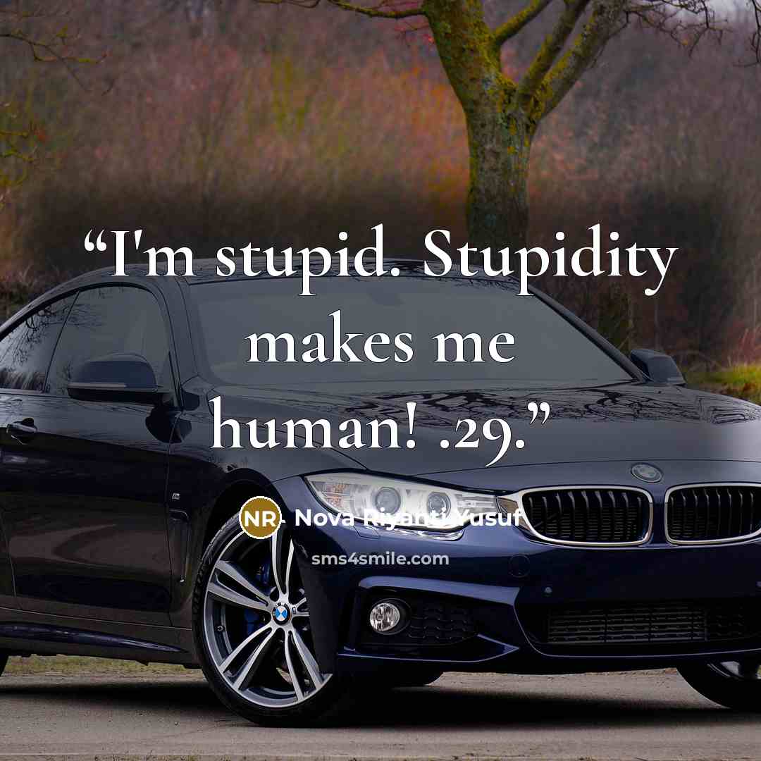 “I'm stupid. Stupidity makes me human! .29.” quote by Nova Riyanti Yusuf