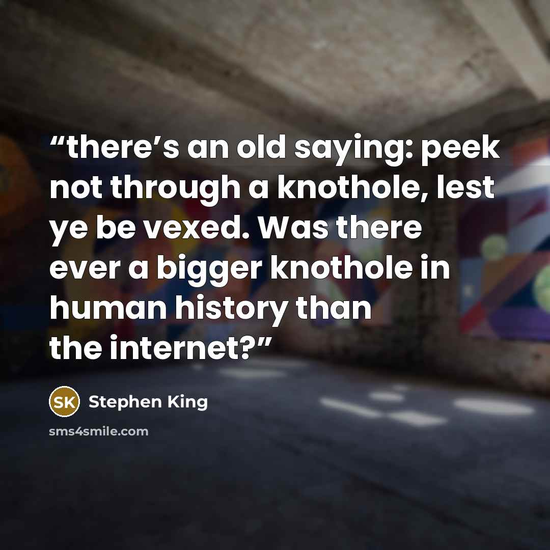 “there’s an old saying: peek not through a knothole, lest ye be vexed. Was there ever a bigger knothole in human history than the internet?” quote by Stephen King
