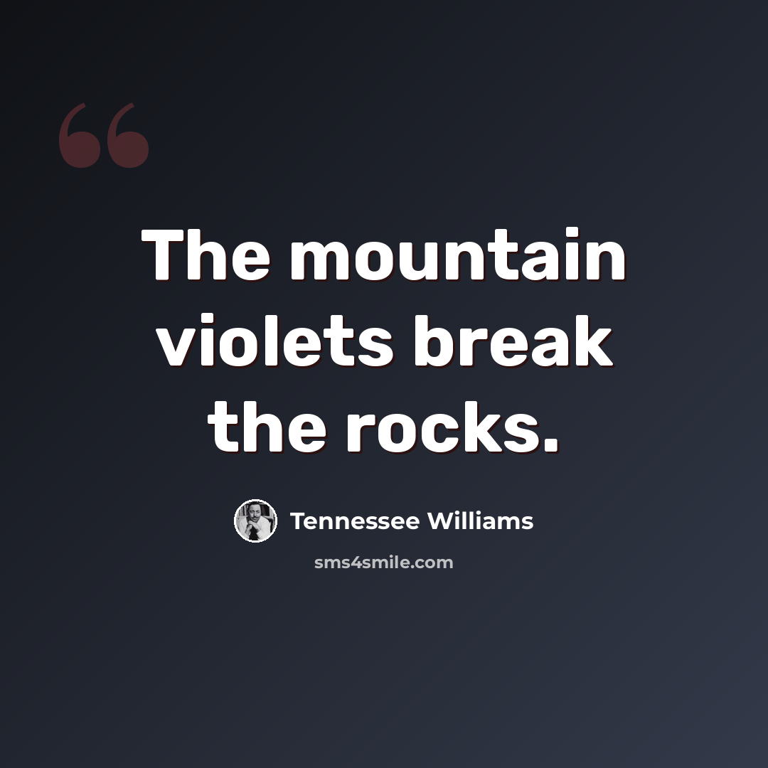 “The mountain violets break the rocks.” quote by Tennessee Williams