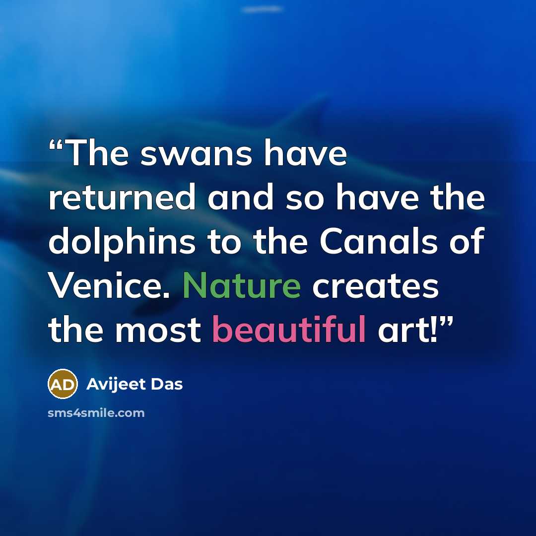 “The swans have returned and so have the dolphins to the Canals of Venice. Nature creates the most beautiful art!” quote by Avijeet Das