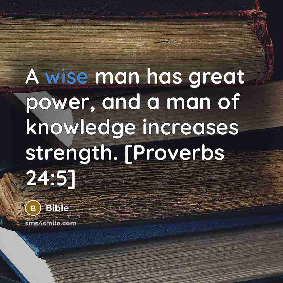 “A wise man has great power, and a man of knowledge increases strength. [Proverbs 24:5]” quote by Bible