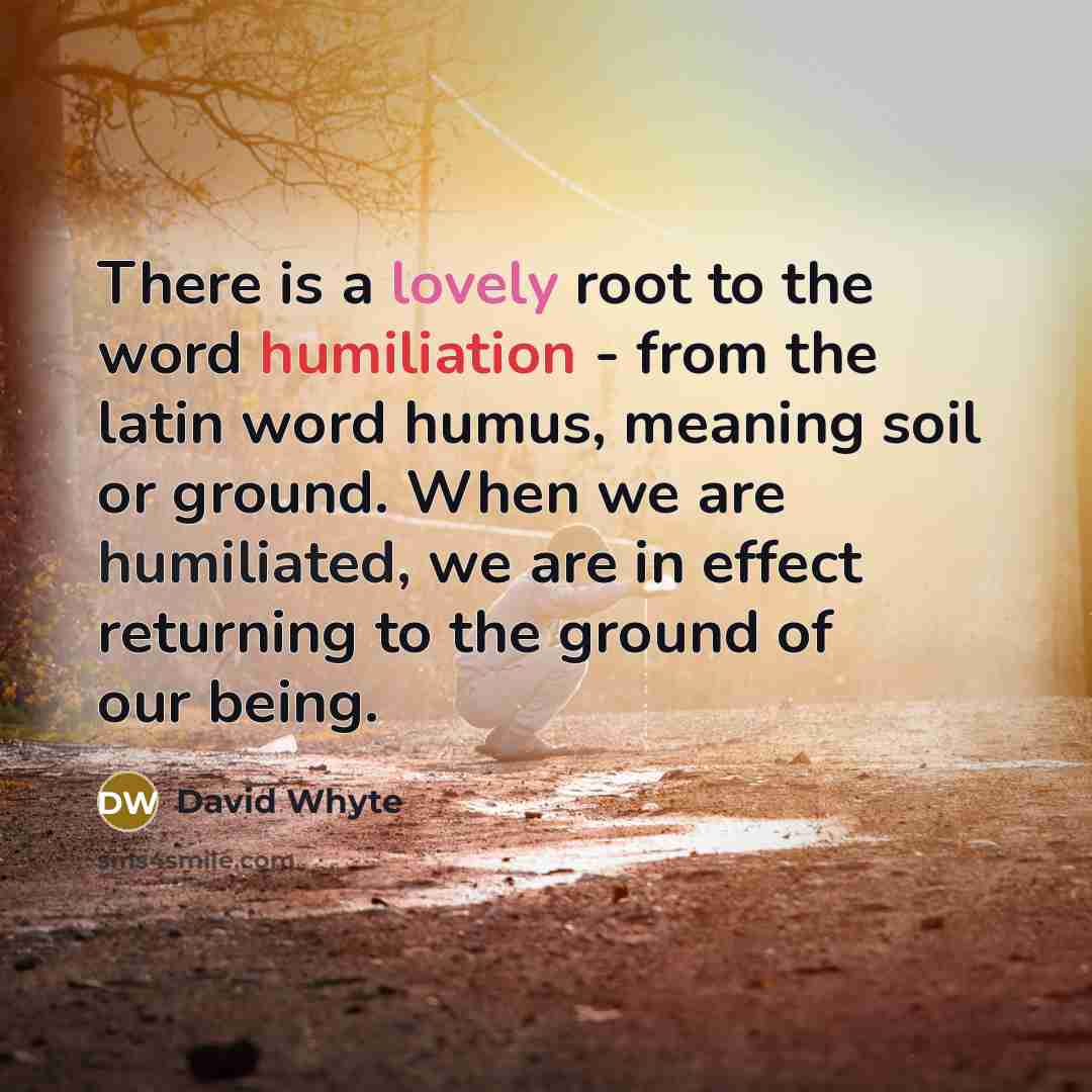 “There is a lovely root to the word humiliation - from the latin word humus, meaning soil or ground. When we are humiliated, we are in effect returning to the ground of our being.” quote by David Whyte