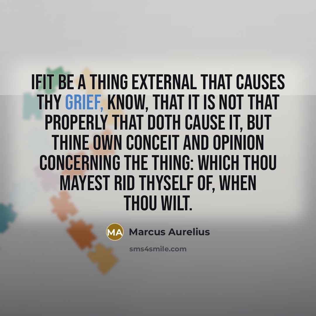 “Ifit be a thing external that causes thy grief, know, that it is not that properly that doth cause it, but thine own conceit and opinion concerning the thing: which thou mayest rid thyself of, when thou wilt.” quote by Marcus Aurelius