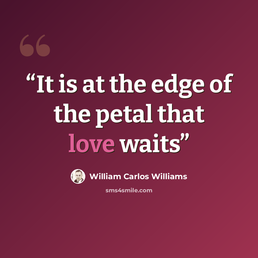 “It is at the edge of the petal that love waits” quote by William Carlos Williams