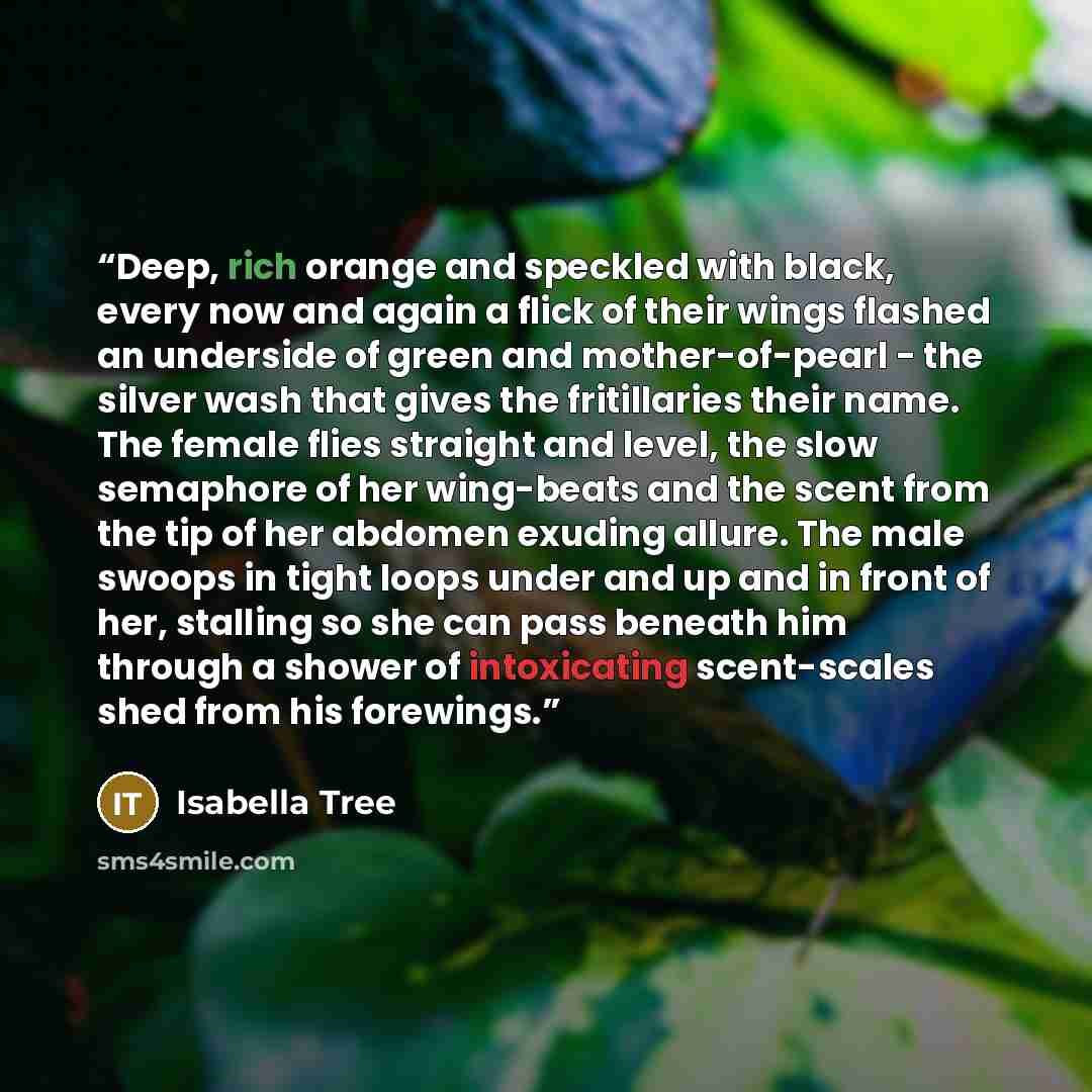 “Deep, rich orange and speckled with black, every now and again a flick of their wings flashed an underside of green and mother-of-pearl - the silver wash that gives the fritillaries their name. The female flies straight and level, the slow semaphore of her wing-beats and the scent from the tip of…” quote by Isabella Tree