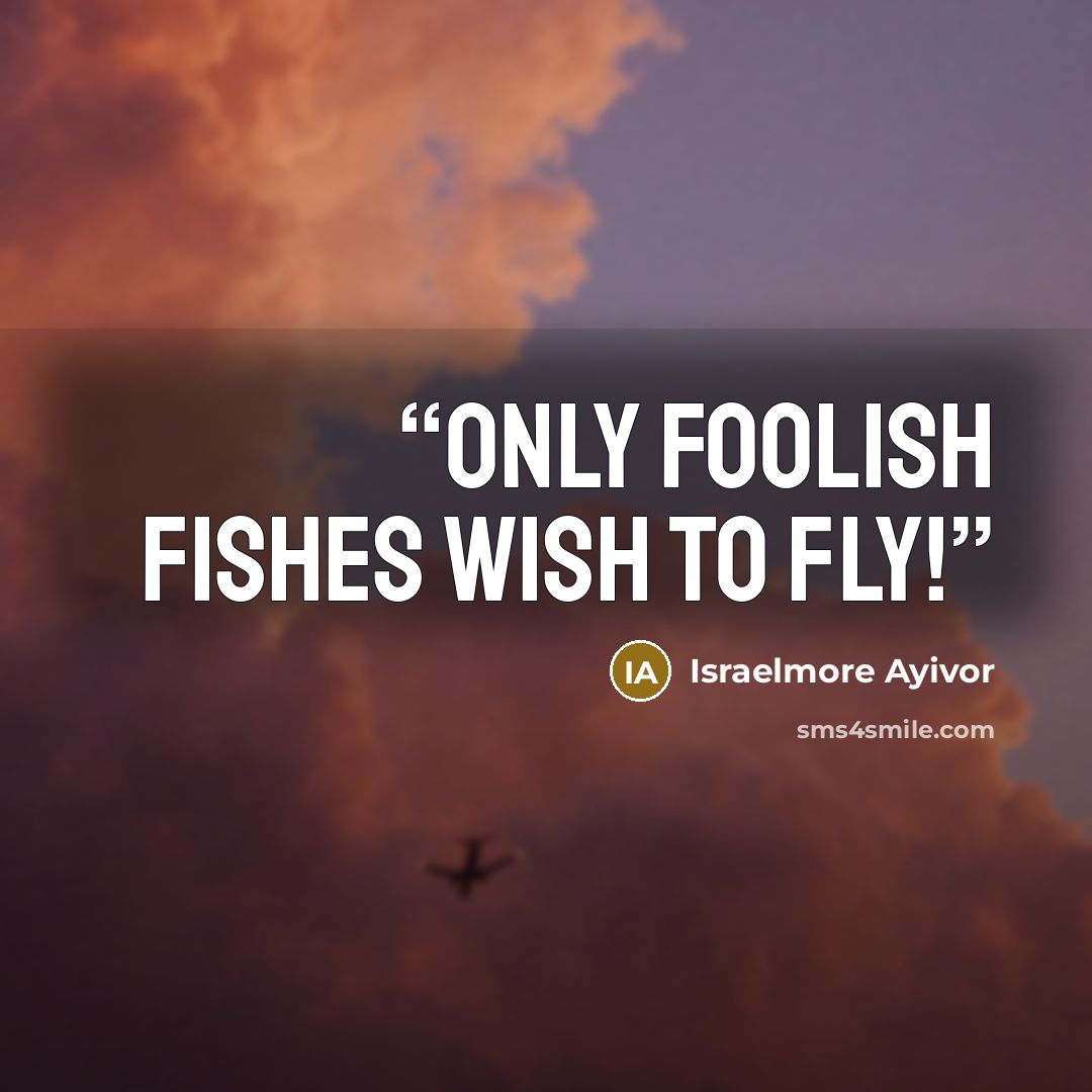“Only foolish fishes wish to fly!” quote by Israelmore Ayivor