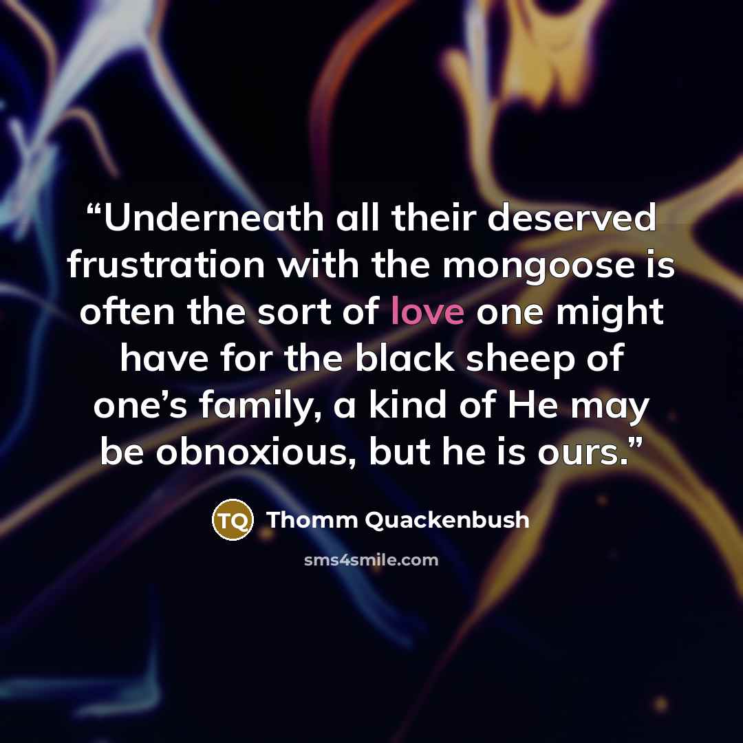“Underneath all their deserved frustration with the mongoose is often the sort of love one might have for the black sheep of one’s family, a kind of He may be obnoxious, but he is ours.” quote by Thomm Quackenbush