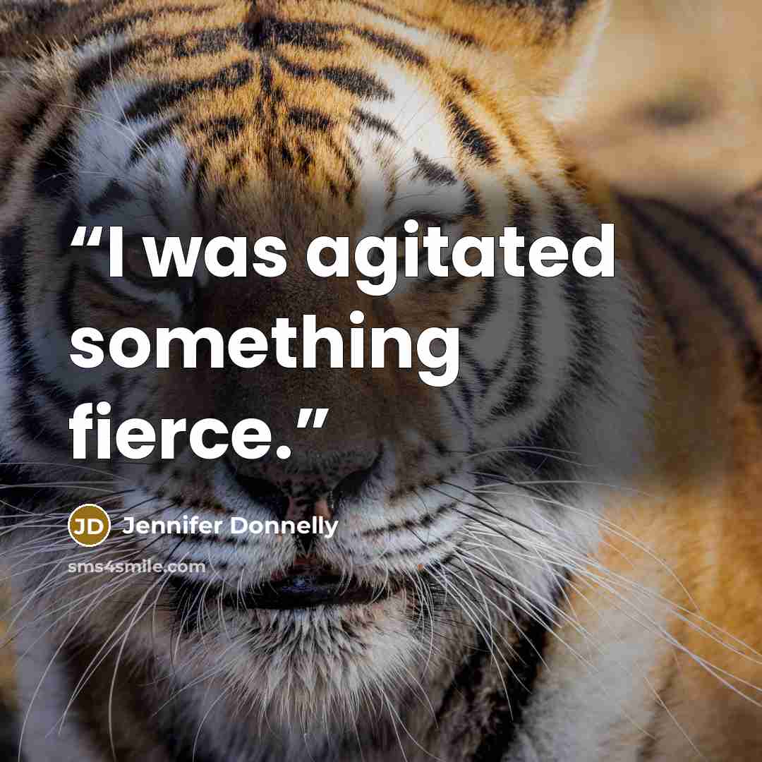 “I was agitated something fierce.” quote by Jennifer Donnelly