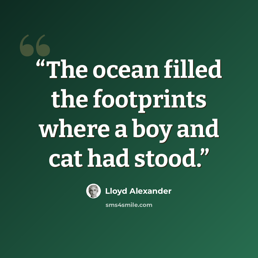 “The ocean filled the footprints where a boy and cat had stood.” quote by Lloyd Alexander