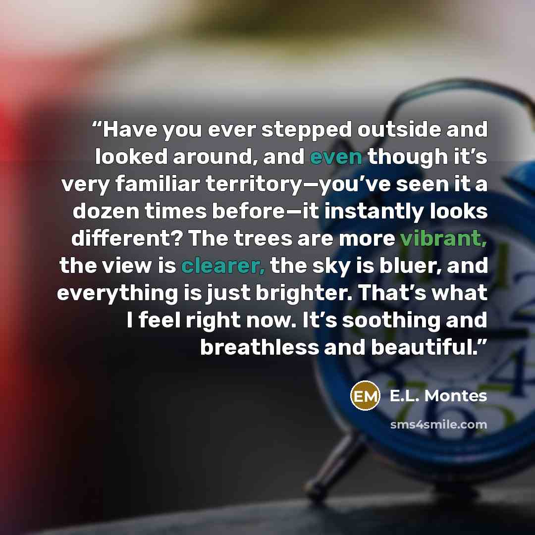 “Have you ever stepped outside and looked around, and even though it’s very familiar territory—you’ve seen it a dozen times before—it instantly looks different? The trees are more vibrant, the view is clearer, the sky is bluer, and everything is just brighter. That’s what I feel right now. It’s…” quote by E.L. Montes