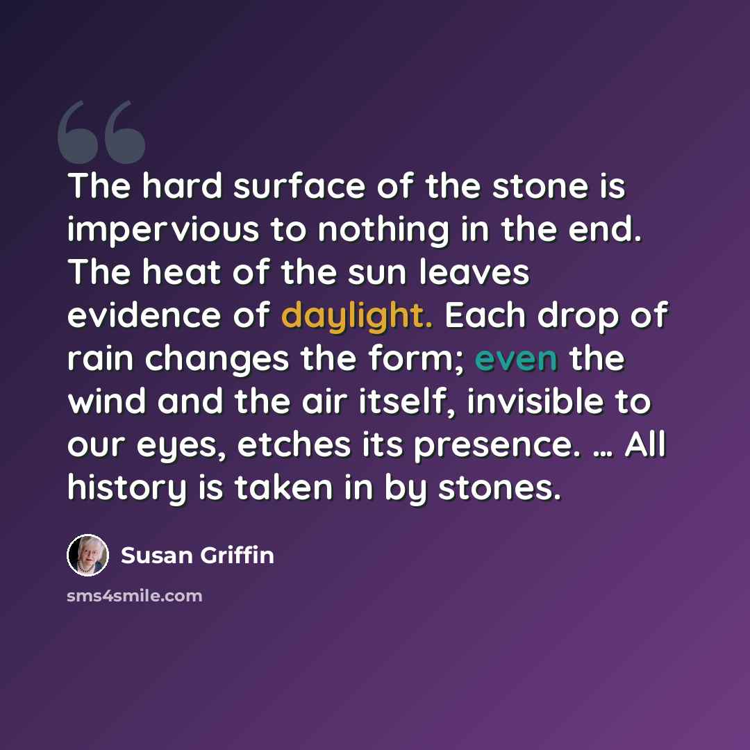 “The hard surface of the stone is impervious to nothing in the end. The heat of the sun leaves evidence of daylight. Each drop of rain changes the form; even the wind and the air itself, invisible to our eyes, etches its presence. … All history is taken in by stones.” quote by Susan Griffin
