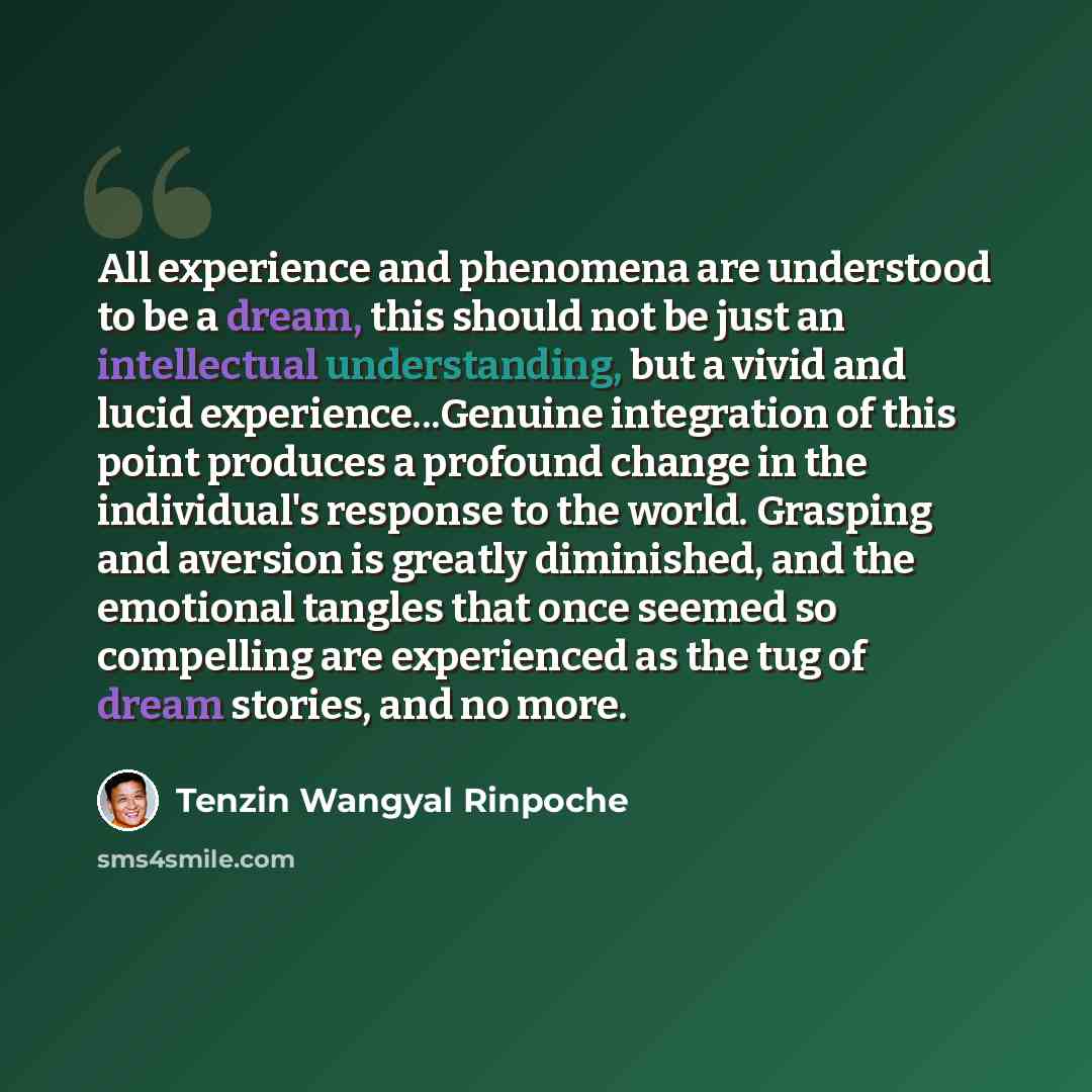 “All experience and phenomena are understood to be a dream, this should not be just an intellectual understanding, but a vivid and lucid experience...Genuine integration of this point produces a profound change in the individual's response to the world. Grasping and aversion is greatly diminished…” quote by Tenzin Wangyal Rinpoche
