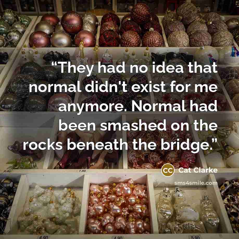 “They had no idea that normal didn't exist for me anymore. Normal had been smashed on the rocks beneath the bridge.” quote by Cat Clarke