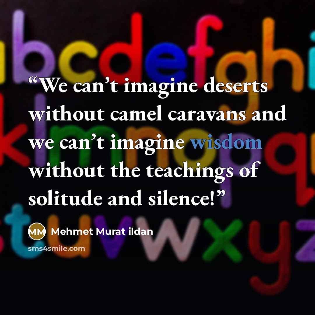 “We can’t imagine deserts without camel caravans and we can’t imagine wisdom without the teachings of solitude and silence!” quote by Mehmet Murat ildan