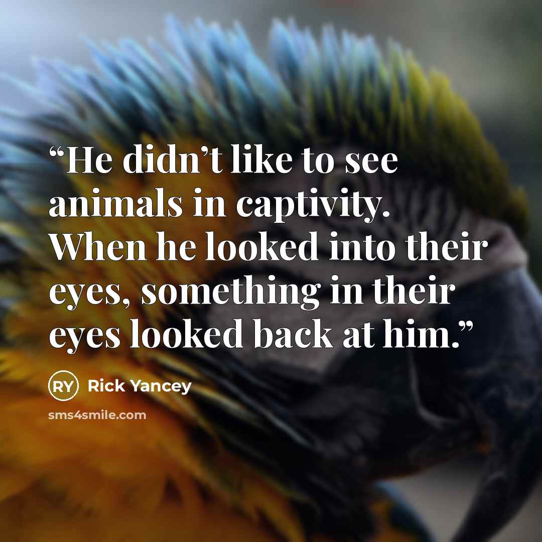 “He didn’t like to see animals in captivity. When he looked into their eyes, something in their eyes looked back at him.” quote by Rick Yancey