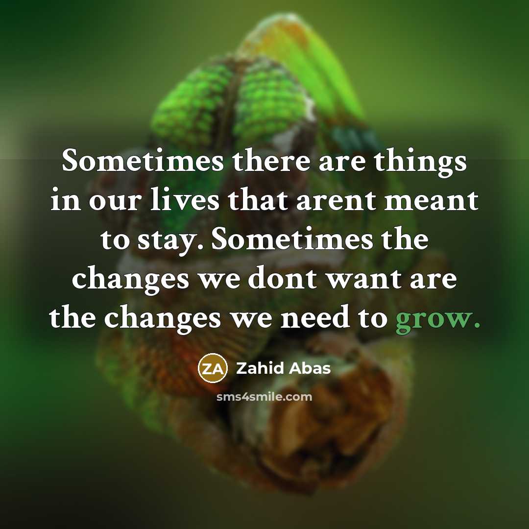 “Sometimes there are things in our lives that arent meant to stay. Sometimes the changes we dont want are the changes we need to grow.” quote by Zahid Abas