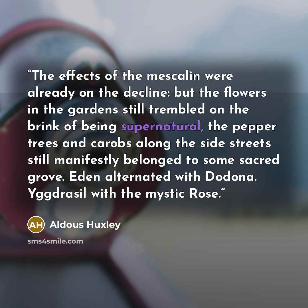 “The effects of the mescalin were already on the decline: but the flowers in the gardens still trembled on the brink of being supernatural, the pepper trees and carobs along the side streets still manifestly belonged to some sacred grove. Eden alternated with Dodona. Yggdrasil with the mystic Rose.” quote by Aldous Huxley