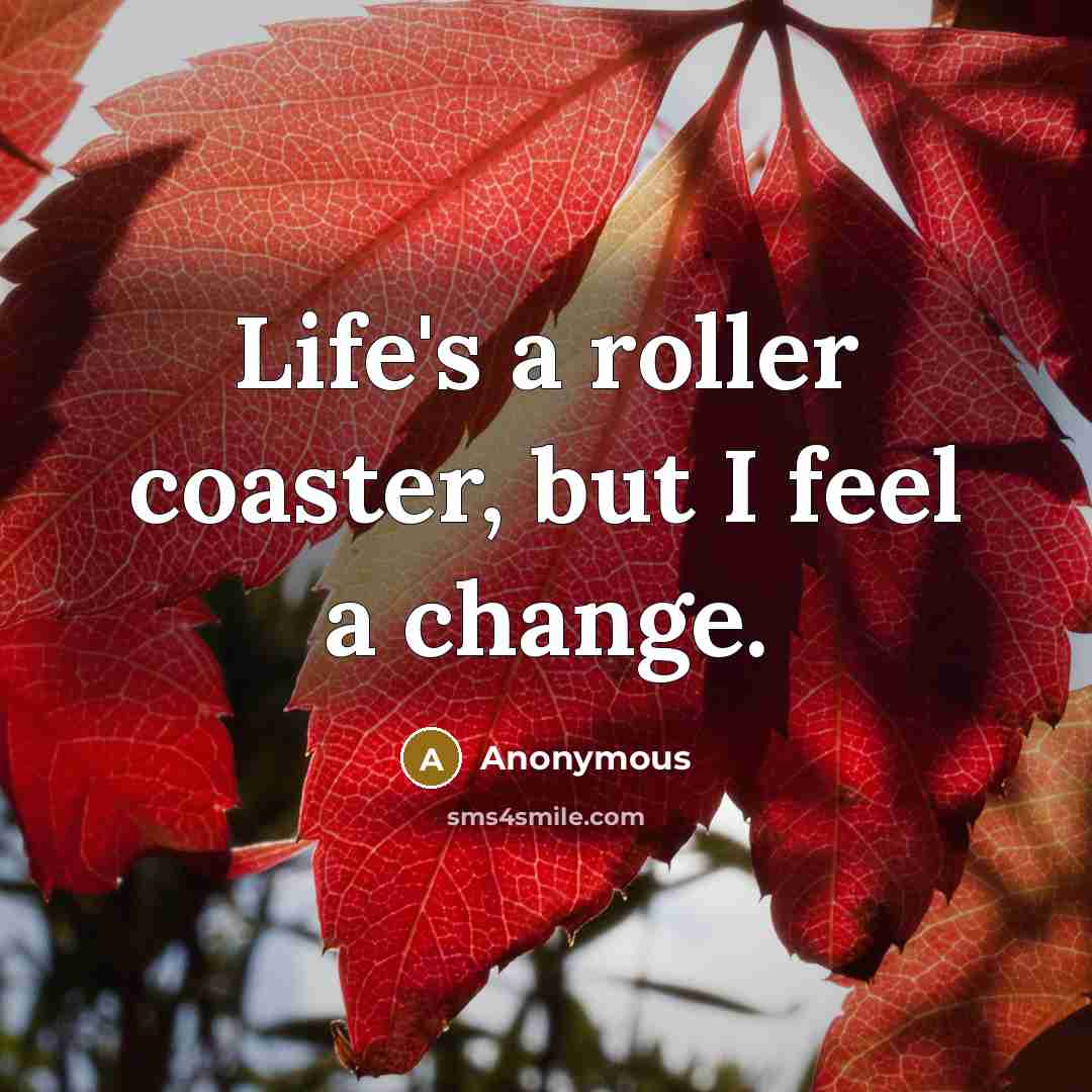 “Life's a roller coaster, but I feel a change.” quote by Anonymous