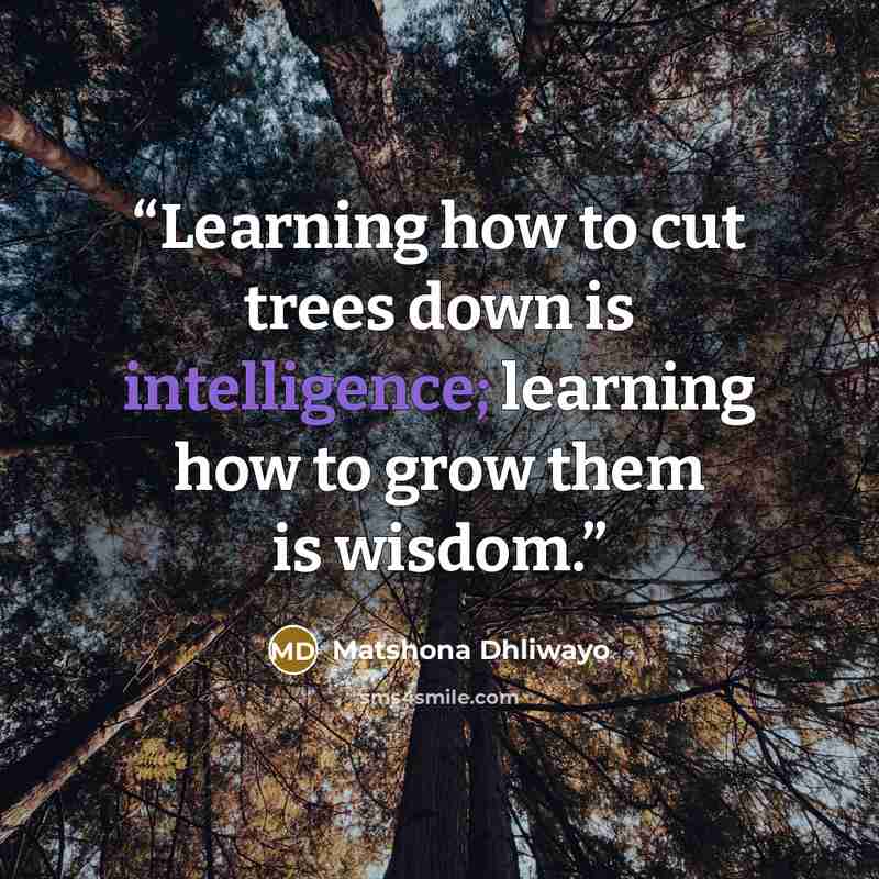 “Learning how to cut trees down is intelligence; learning how to grow them is wisdom.” quote by Matshona Dhliwayo