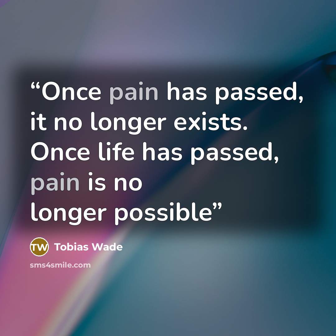“Once pain has passed, it no longer exists. Once life has passed, pain is no longer possible” quote by Tobias Wade