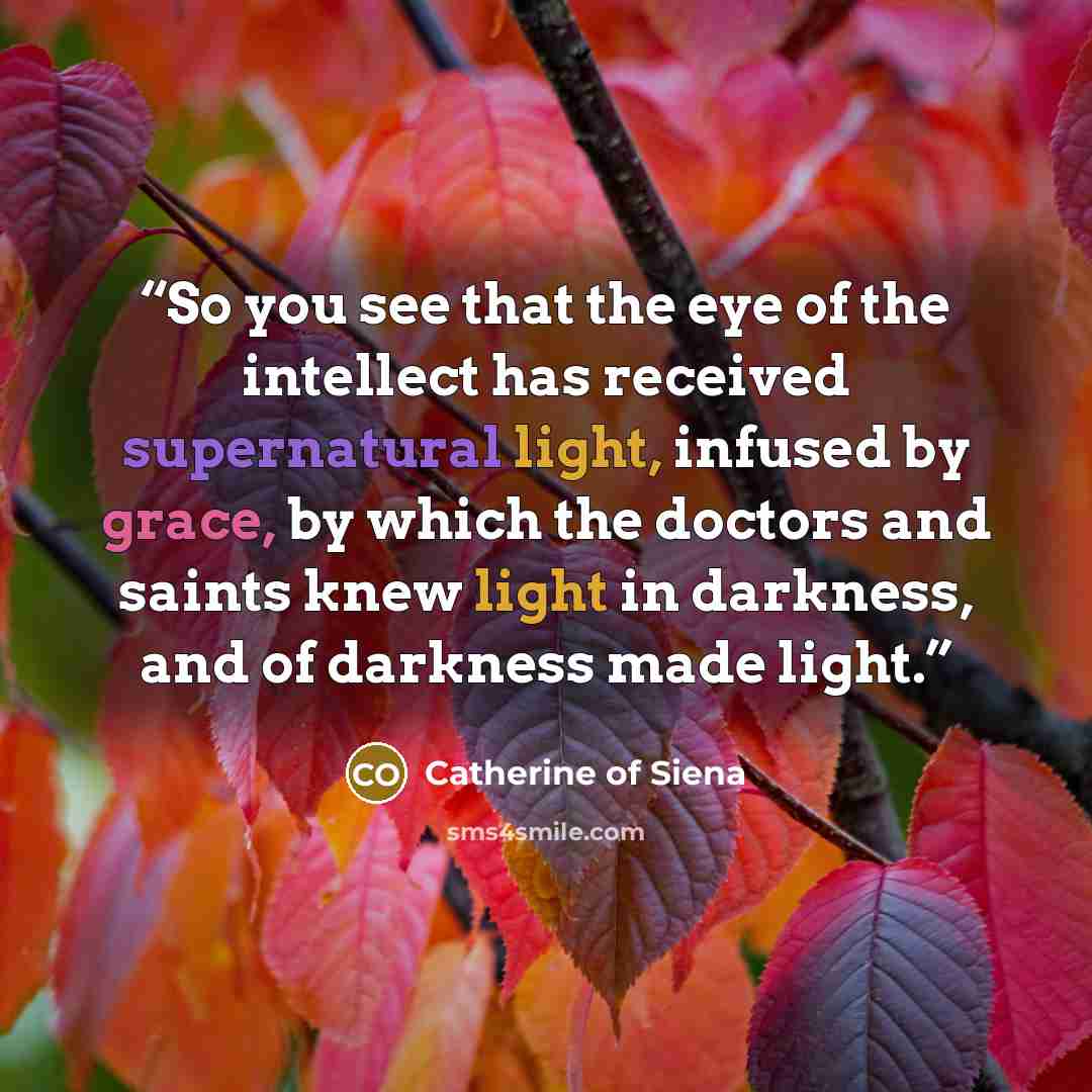 “So you see that the eye of the intellect has received supernatural light, infused by grace, by which the doctors and saints knew light in darkness, and of darkness made light.” quote by Catherine of Siena
