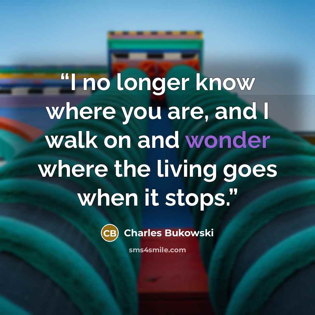 “I no longer know where you are, and I walk on and wonder where the living goes when it stops.” quote by Charles Bukowski