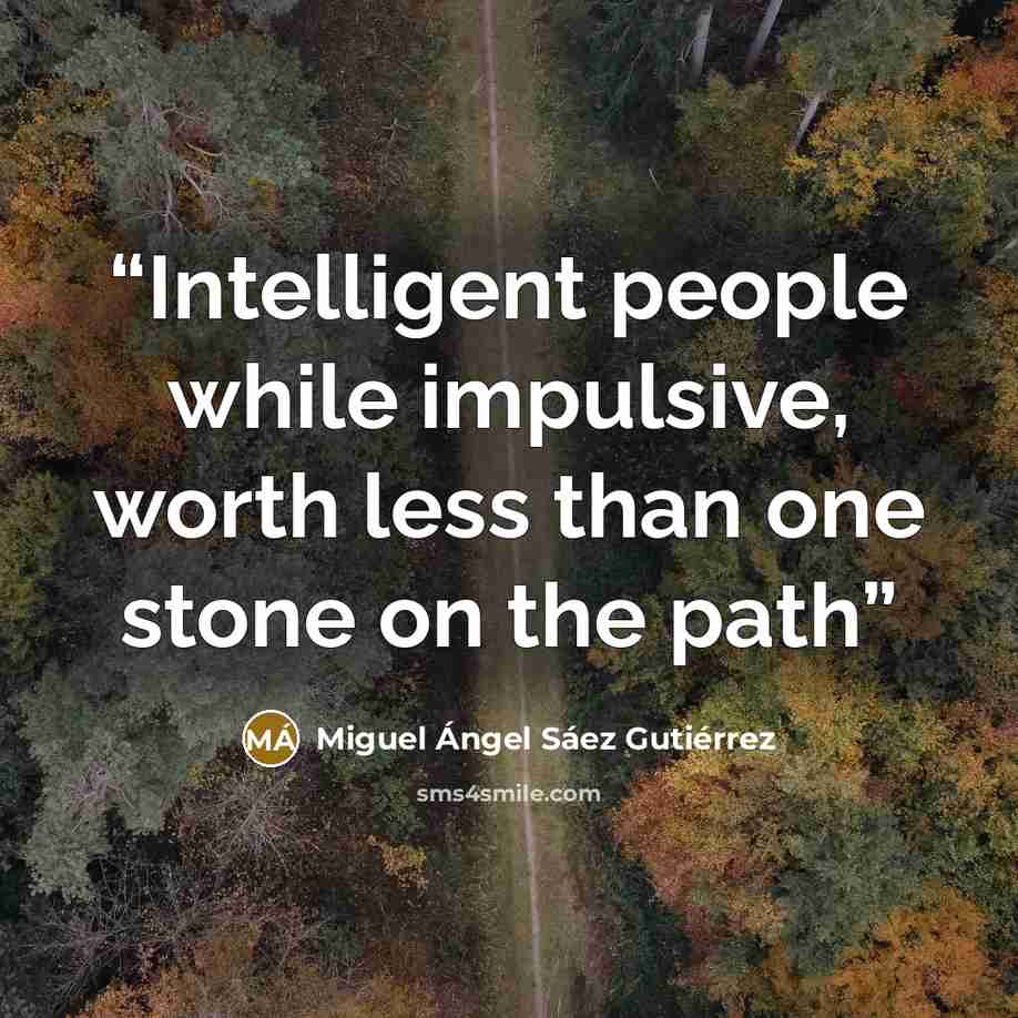 “Intelligent people while impulsive, worth less than one stone on the path” quote by Miguel Ángel Sáez Gutiérrez