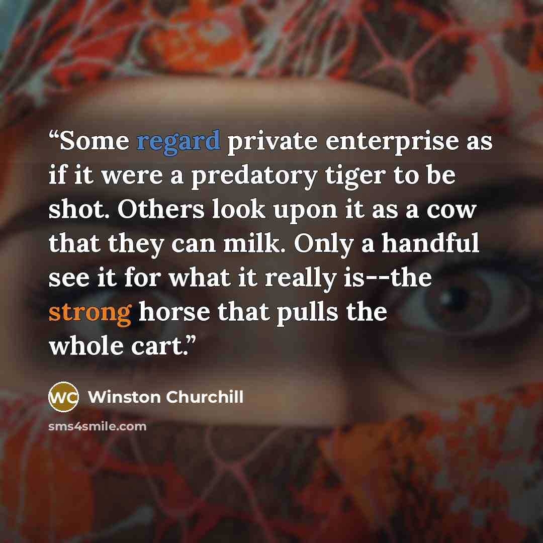 “Some regard private enterprise as if it were a predatory tiger to be shot. Others look upon it as a cow that they can milk. Only a handful see it for what it really is--the strong horse that pulls the whole cart.” quote by Winston Churchill