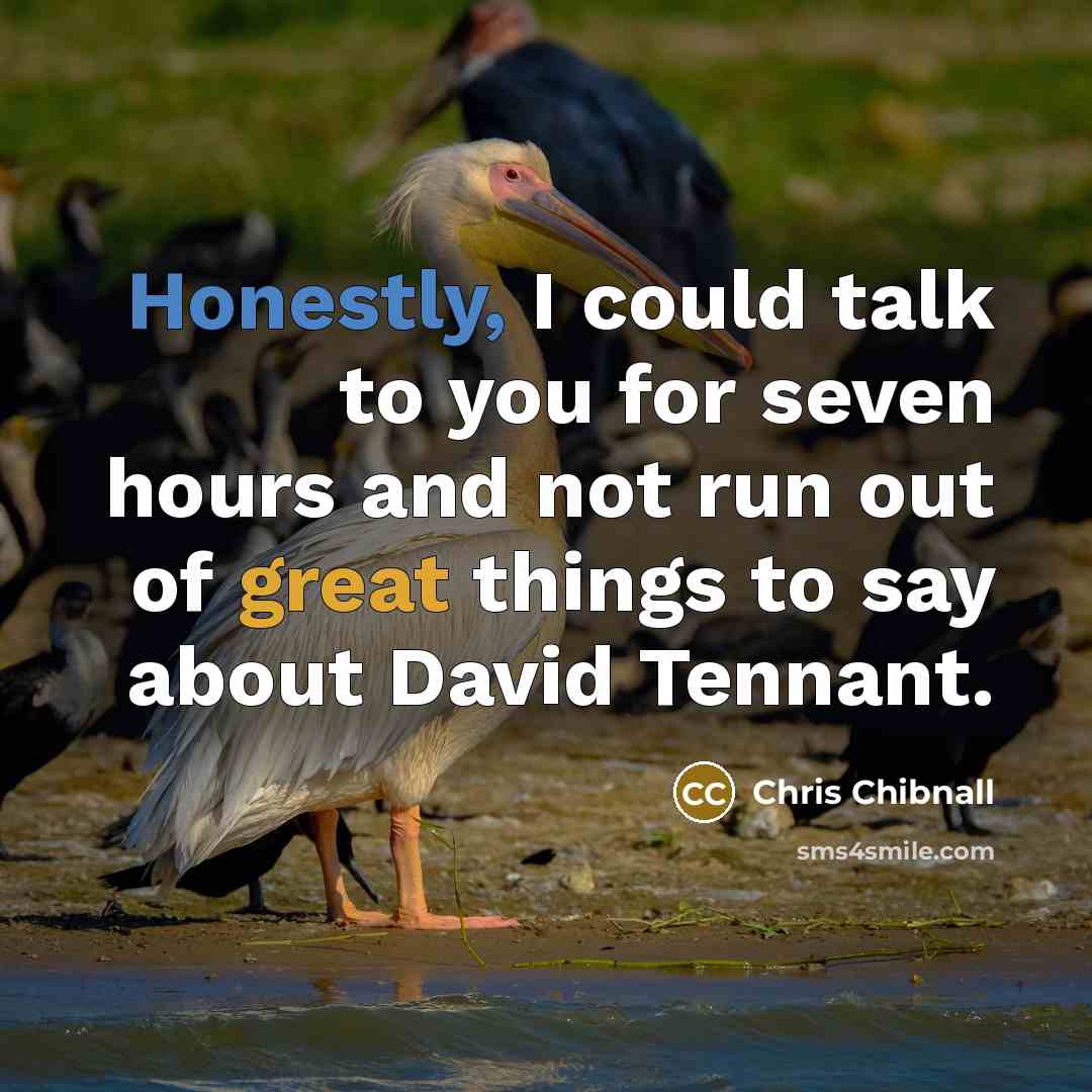 “Honestly, I could talk to you for seven hours and not run out of great things to say about David Tennant.” quote by Chris Chibnall